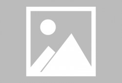 第五人格六周年最新爆料,揭秘全新内容与惊喜活动