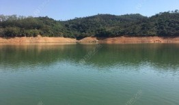 三坑水库爆料最新消息视频,揭秘水库神秘面纱背后的真相